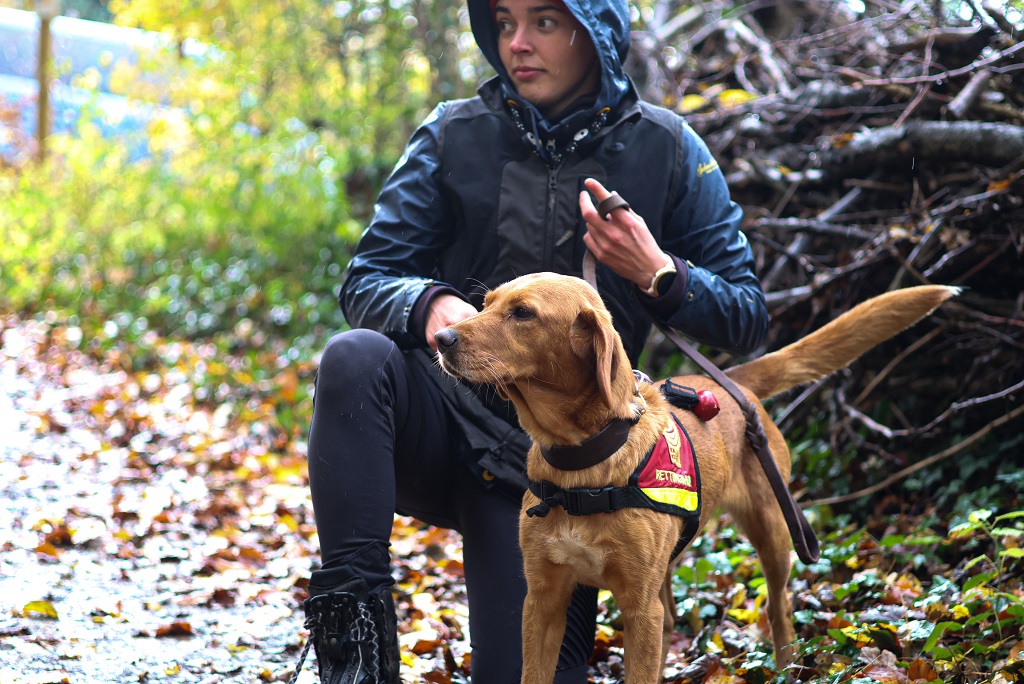 ASB-KA_Homepage_Rettungshundestaffel_Themenfoto_Hund-Hundefuehrende.jpg